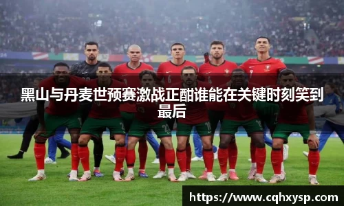 黑山与丹麦世预赛激战正酣谁能在关键时刻笑到最后