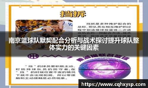 南京篮球队默契配合分析与战术探讨提升球队整体实力的关键因素