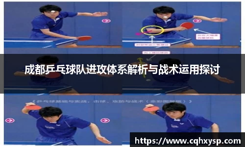 成都乒乓球队进攻体系解析与战术运用探讨