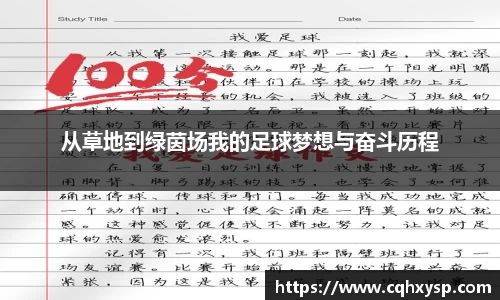 从草地到绿茵场我的足球梦想与奋斗历程